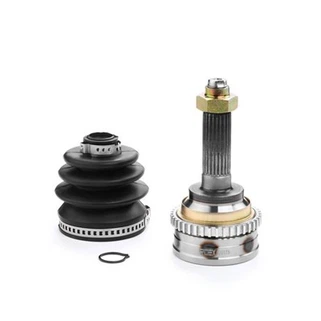 Kardaaniliigend 96273571